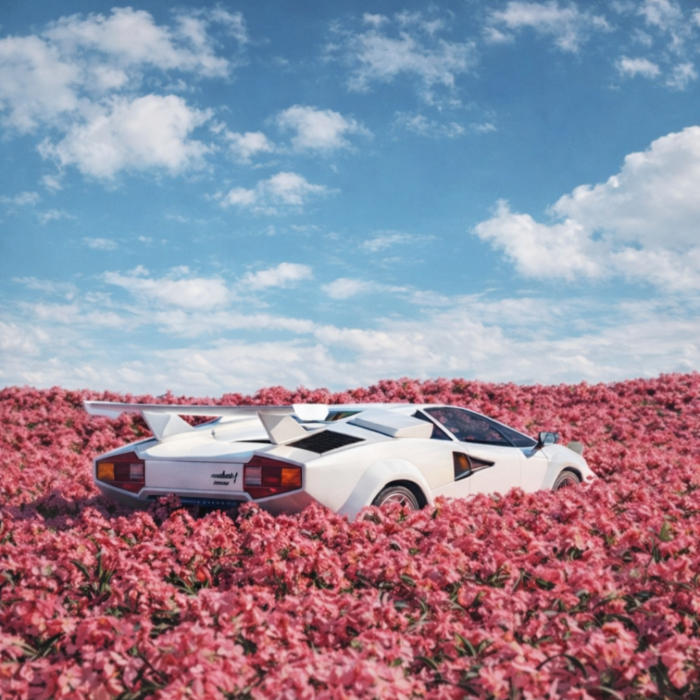 BLOOMING VELOCITY.(2)