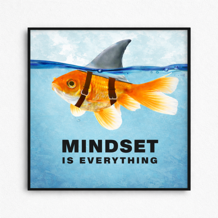 MINDSET IS EVERYTHING.(1)