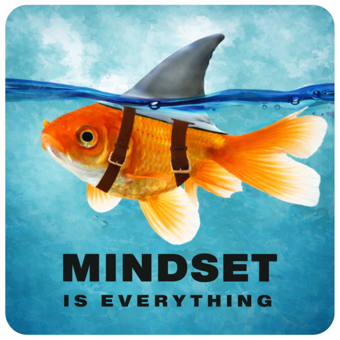 MINDSET IS EVERYTHING(2)